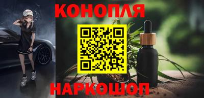 мяу мяу мука Новозыбков
