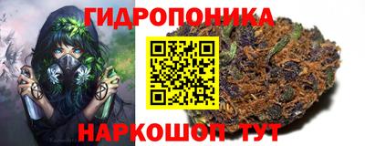 мяу мяу мука Новозыбков
