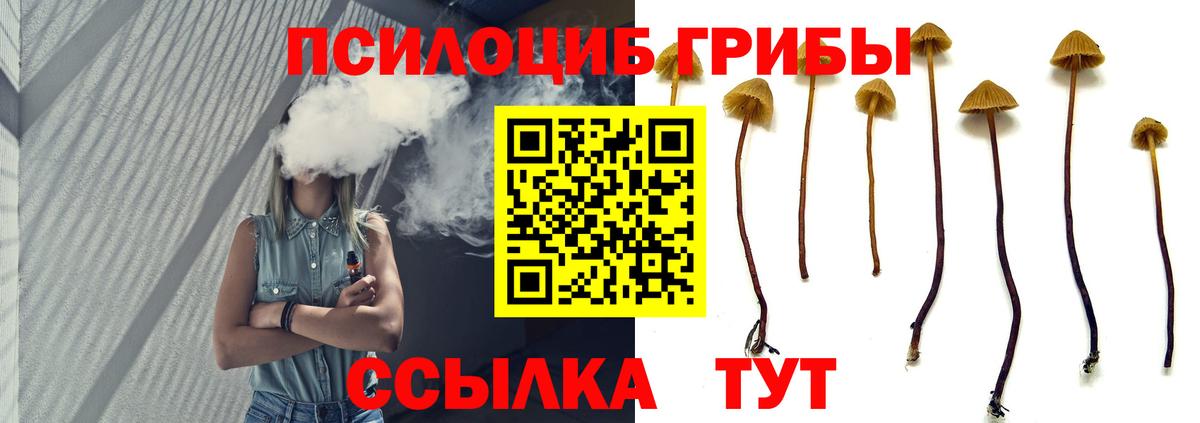 Галлюциногенные грибы Psilocybine cubensis  Вход с VPN  Псилоцибиновые грибы MAGIC MUSHROOMS  Славгород 